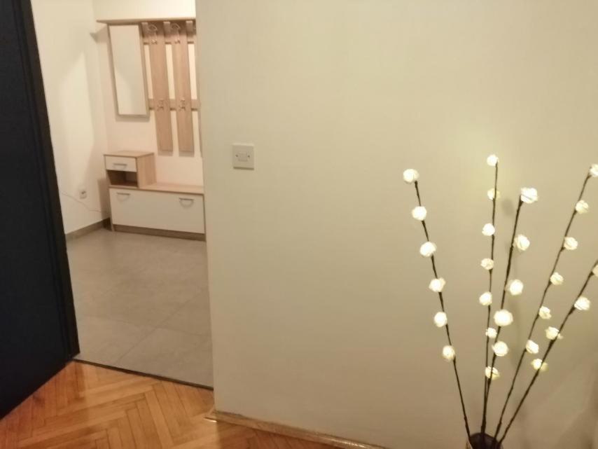 Apartman Sanja Pula Exteriör bild